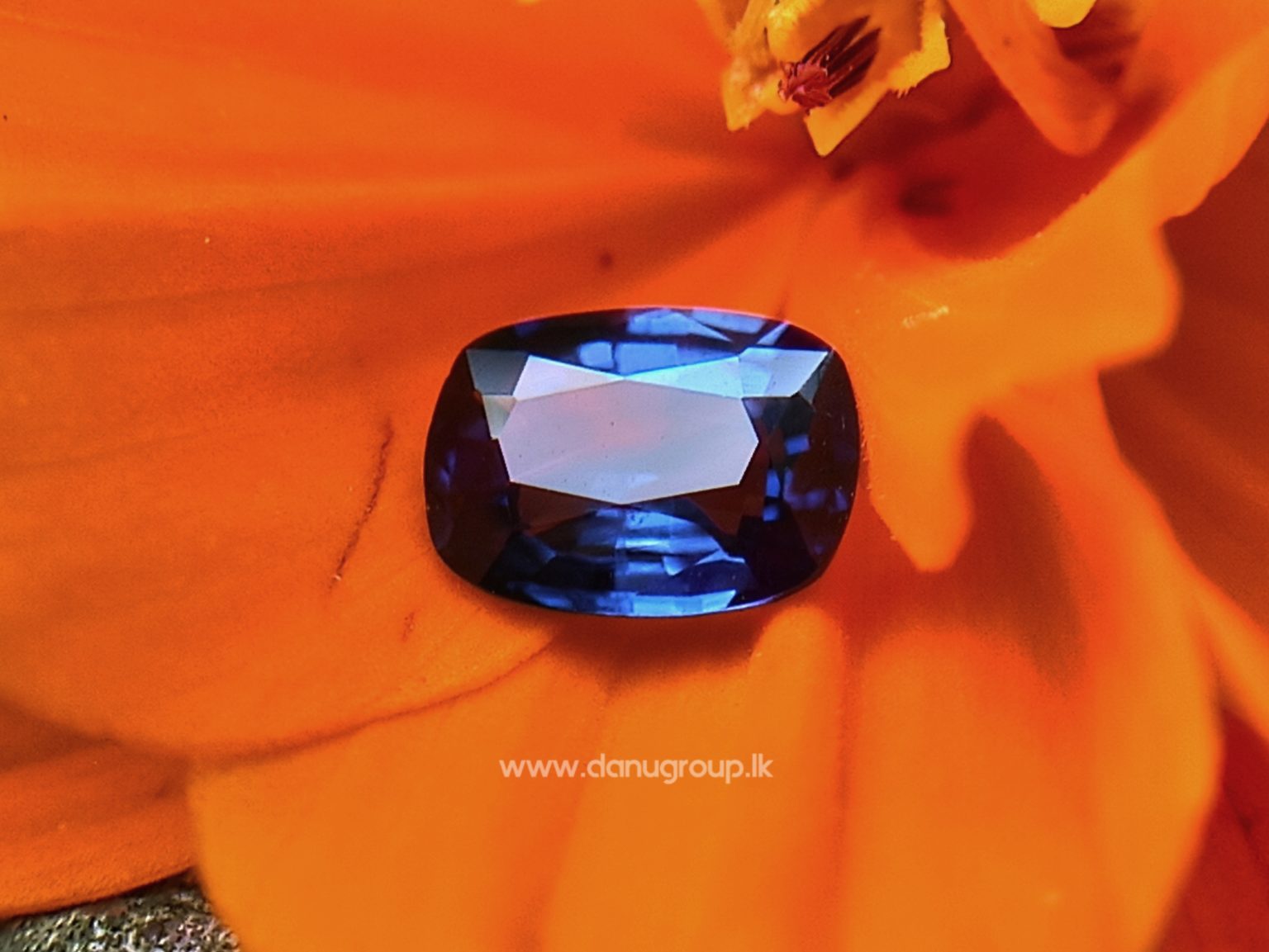 Ceylon Blue Sapphire Cushion shape Gemstone from Danu Group Collection