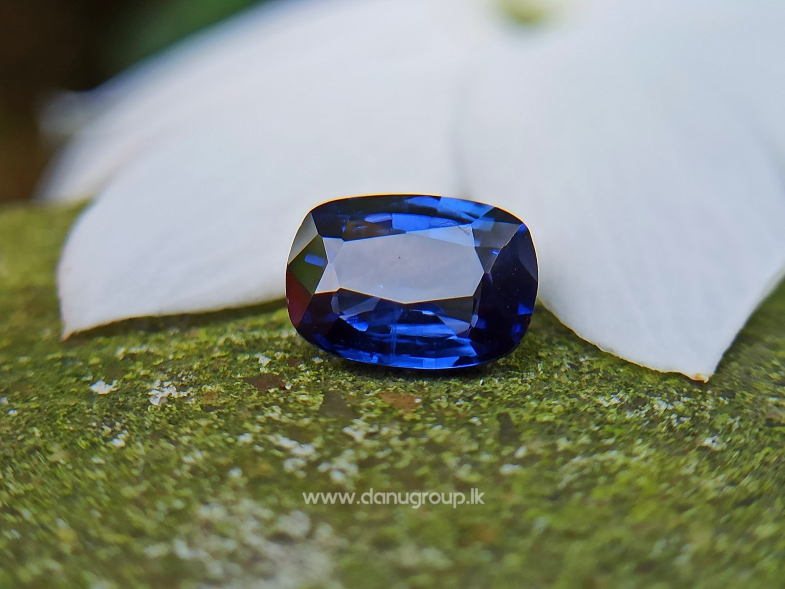 Ceylon Blue Sapphire Cushion shape Gemstone from Danu Group Collection