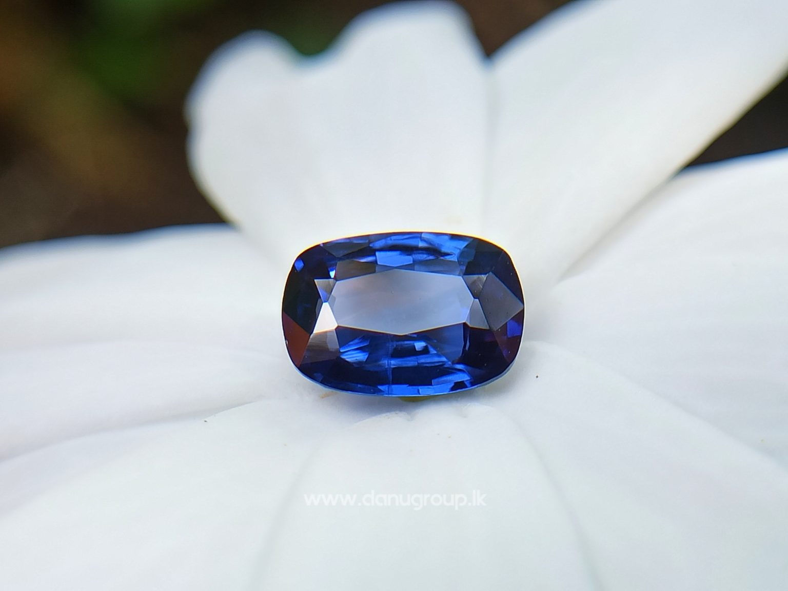 Ceylon Blue Sapphire Cushion shape Gemstone from Danu Group Collection