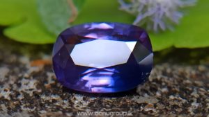 Ceylon Purple Sapphire with Blue color zoning Danu Group Gemstones