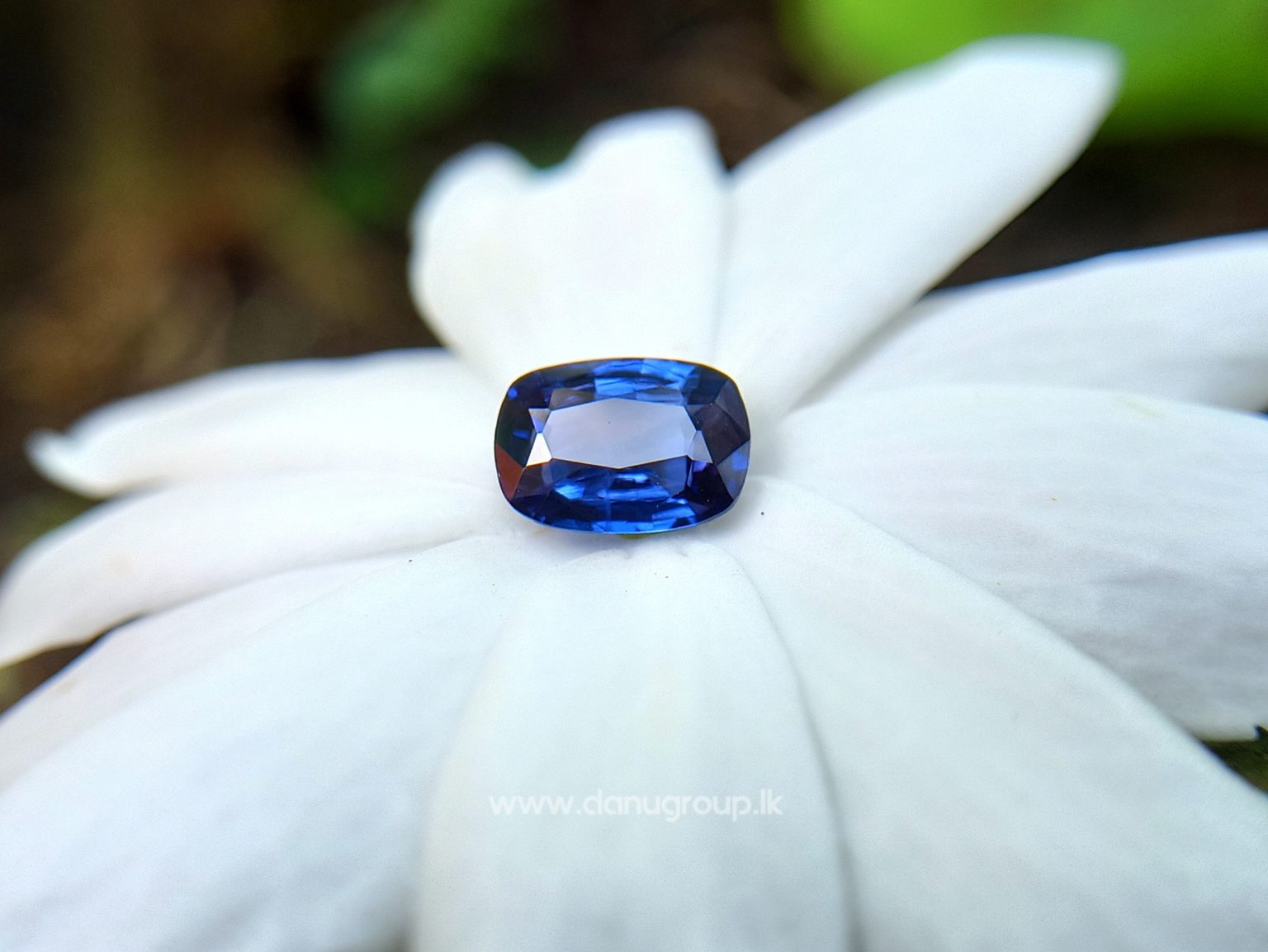 Ceylon Blue Sapphire Cushion shape Gemstone from Danu Group Collection