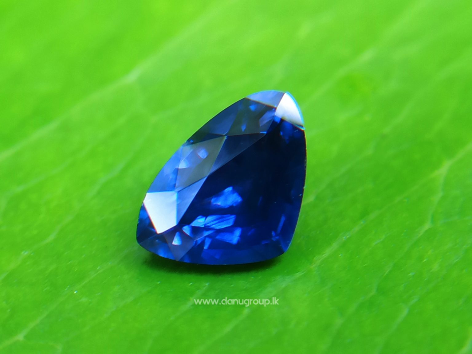 Ceylon Blue Sapphire Trilliant shape gem for your unique jewelry design - Danu Group Gemstones