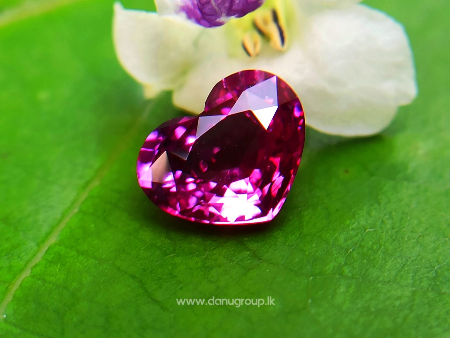 Ceylon Hot Pink Sapphire Heart from Danu Group Collection New arrivals