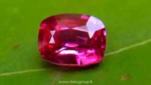 Ceylon Ruby Danu Group Gemstones Cushion shape ruby