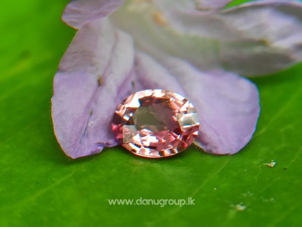 Ceylon Natural Padparadscha Sapphire - king of sapphire Color of sri lankan lotus blossom Rare Padparadscha from DANU GROUP Gemstones Collections