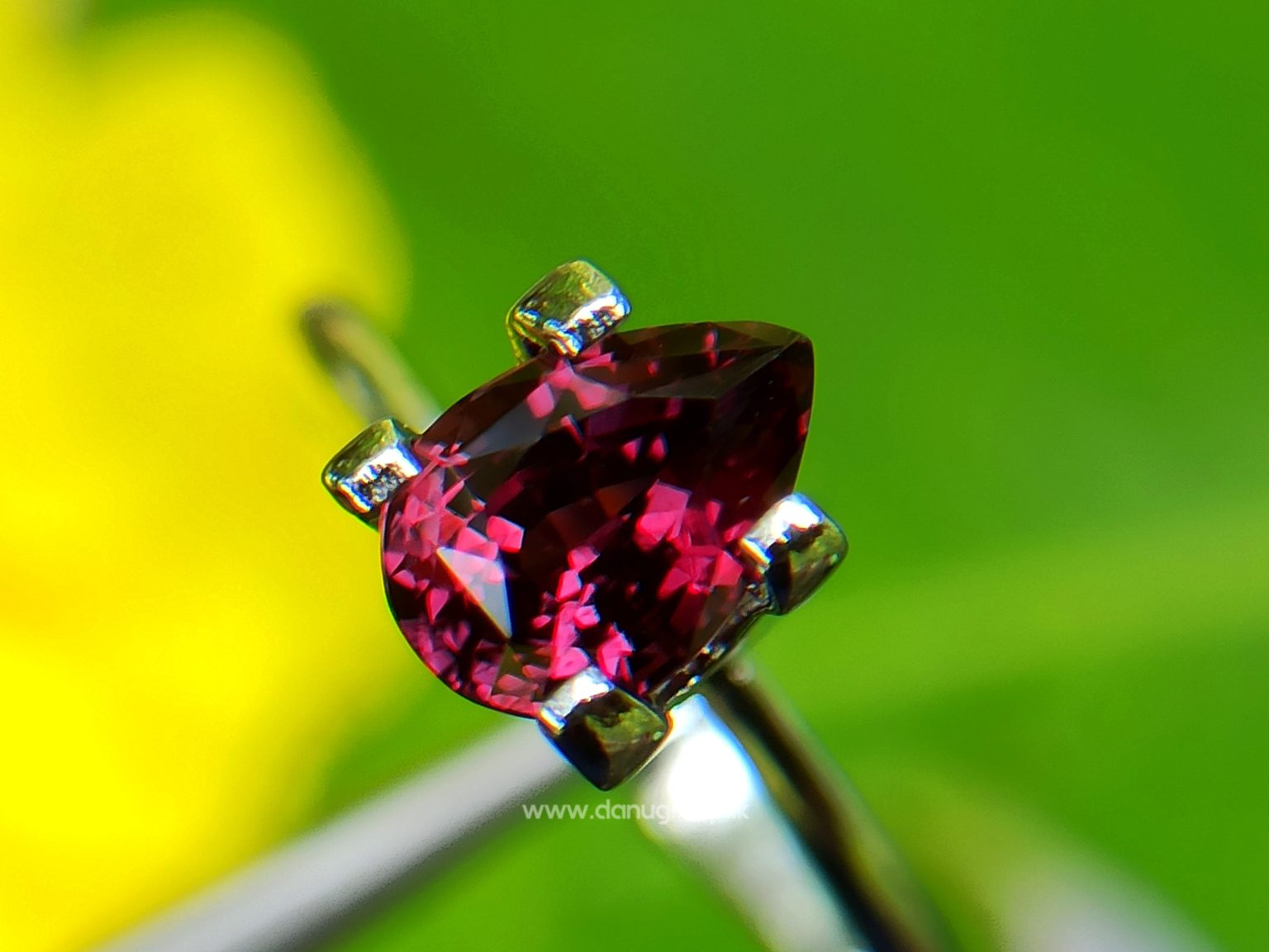 Ceylon Natural Ruby Unheated Ceylon Ruby from Danu Group Gemstones Collections