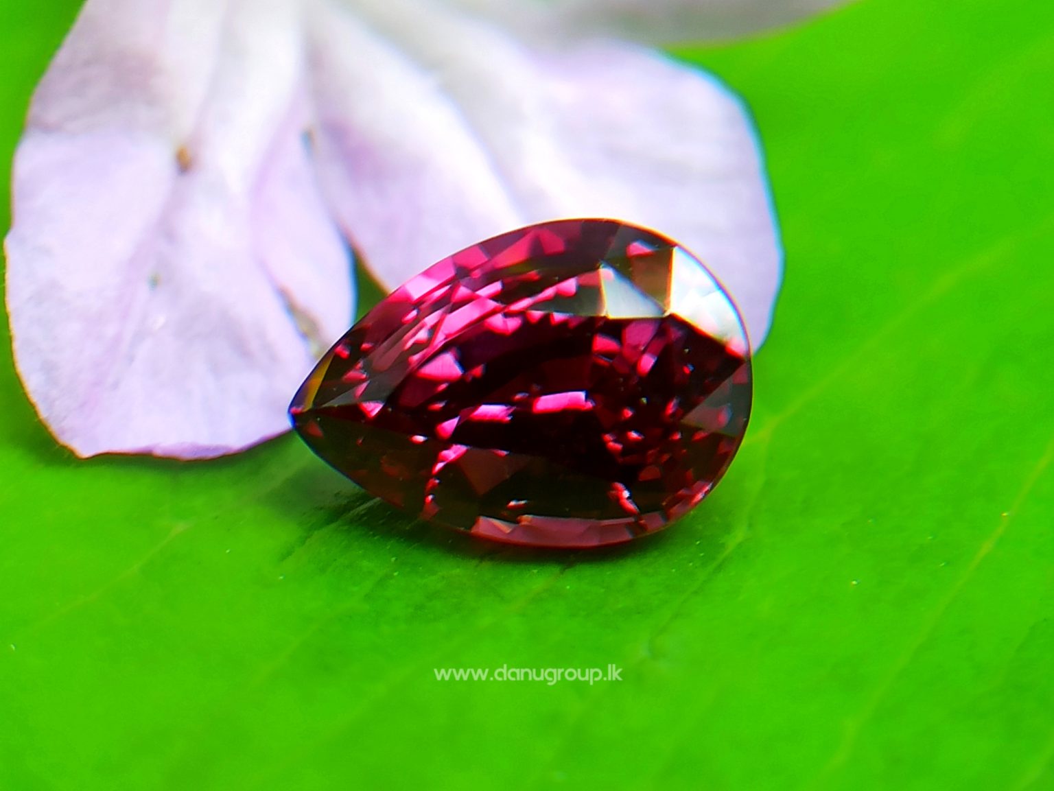 Ceylon Natural Ruby Unheated Ceylon Ruby from Danu Group Gemstones Collections