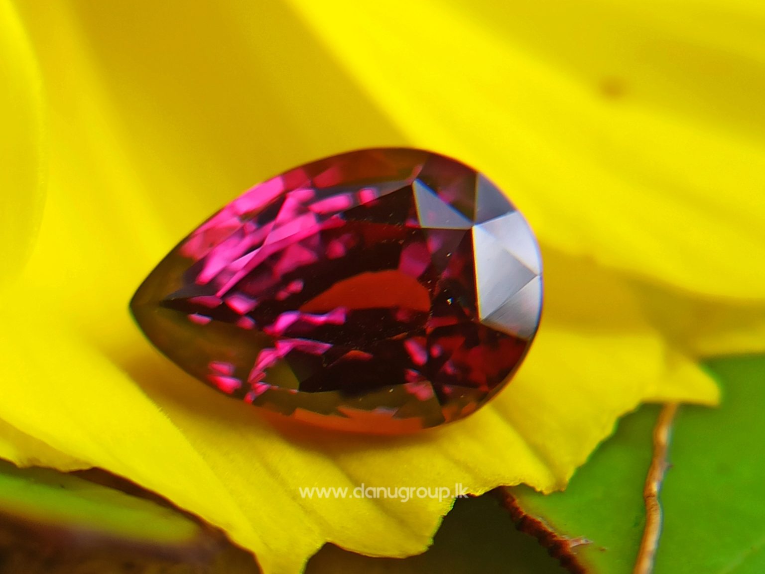 Ceylon Natural Ruby Unheated Ceylon Ruby from Danu Group Gemstones Collections