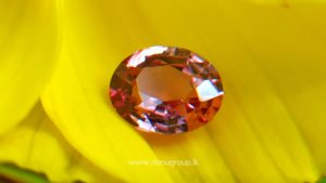 Ceylon Natural Padparadscha Sapphire - king of sapphire Color of sri lankan lotus blossom Rare Padparadscha from DANU GROUP Gemstones Collections