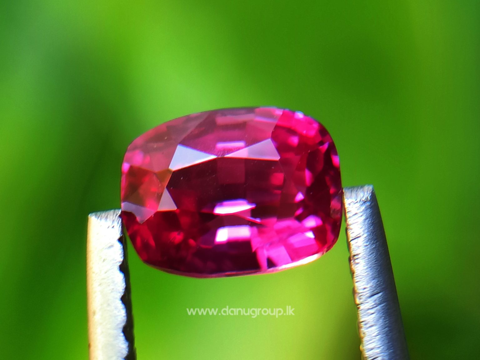 Ceylon Ruby Danu Group Gemstones Cushion shape ruby