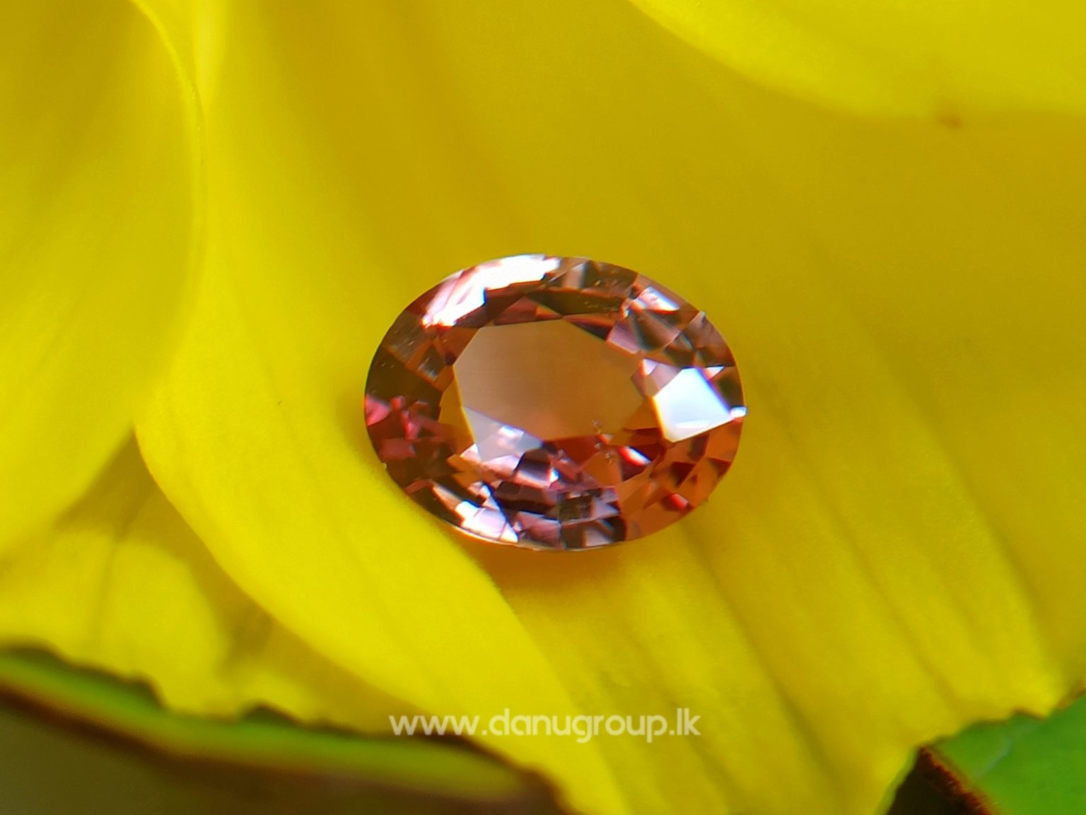 Ceylon Natural Padparadscha Sapphire - king of sapphire Color of sri lankan lotus blossom Rare Padparadscha from DANU GROUP Gemstones Collections