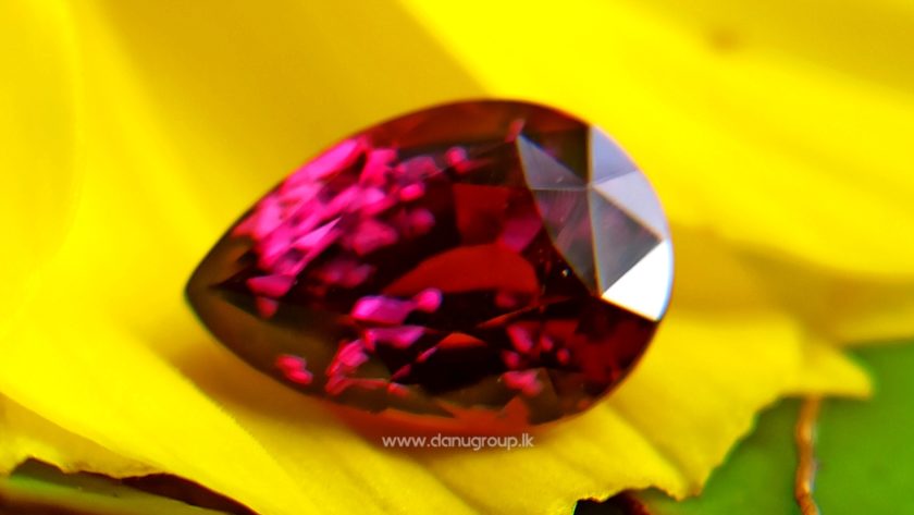 Ceylon Natural Ruby Unheated Ceylon Ruby from Danu Group Gemstones Collections