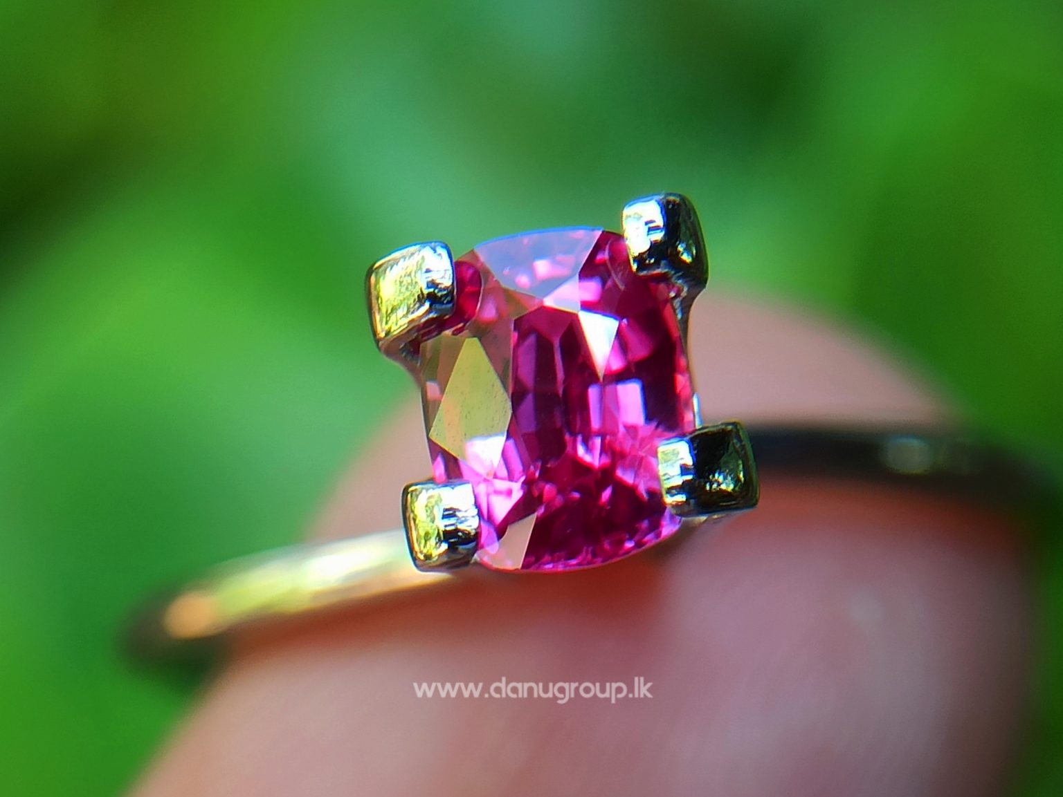 Ceylon Ruby Danu Group Gemstones Cushion shape ruby