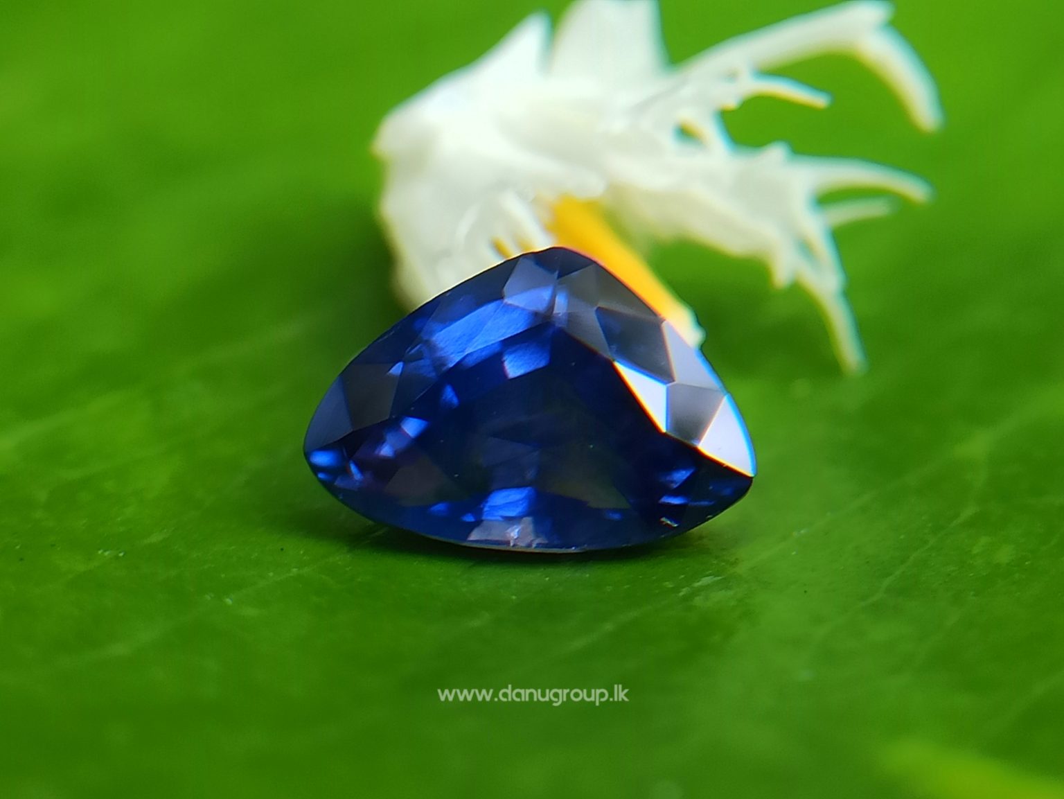 Ceylon Blue Sapphire Trilliant shape gem for your unique jewelry design - Danu Group Gemstones
