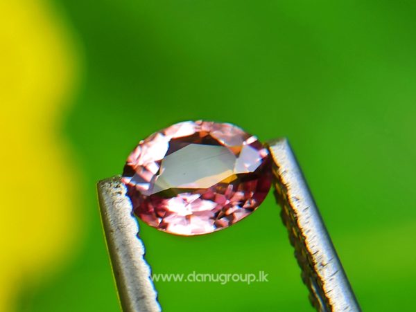 Ceylon Natural Padparadscha Sapphire - king of sapphire Color of sri lankan lotus blossom Rare Padparadscha from DANU GROUP Gemstones Collections