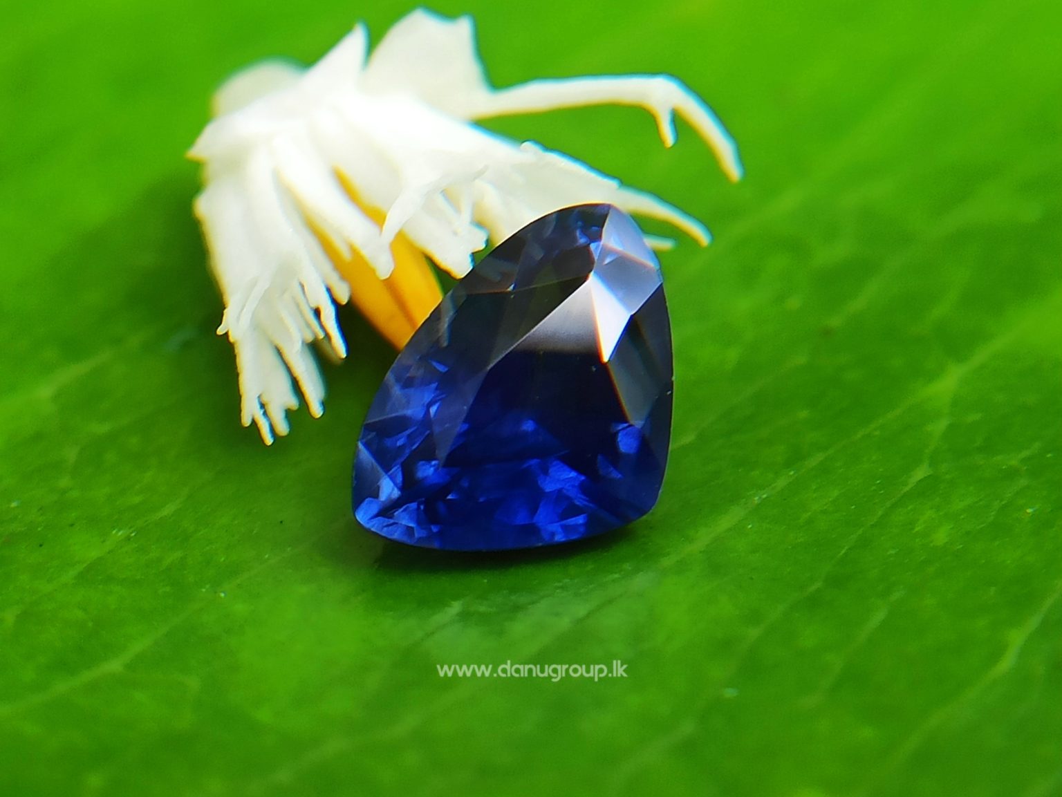 Ceylon Blue Sapphire Trilliant shape gem for your unique jewelry design - Danu Group Gemstones