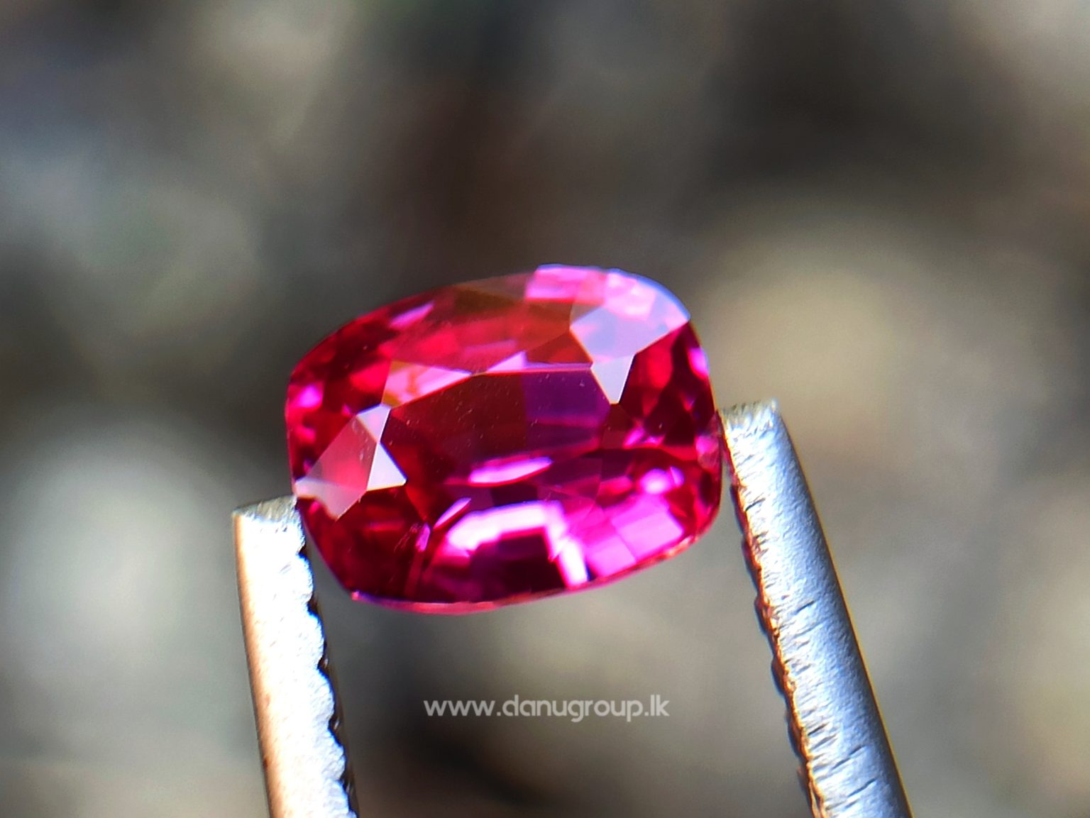 Ceylon Ruby Danu Group Gemstones Cushion shape ruby