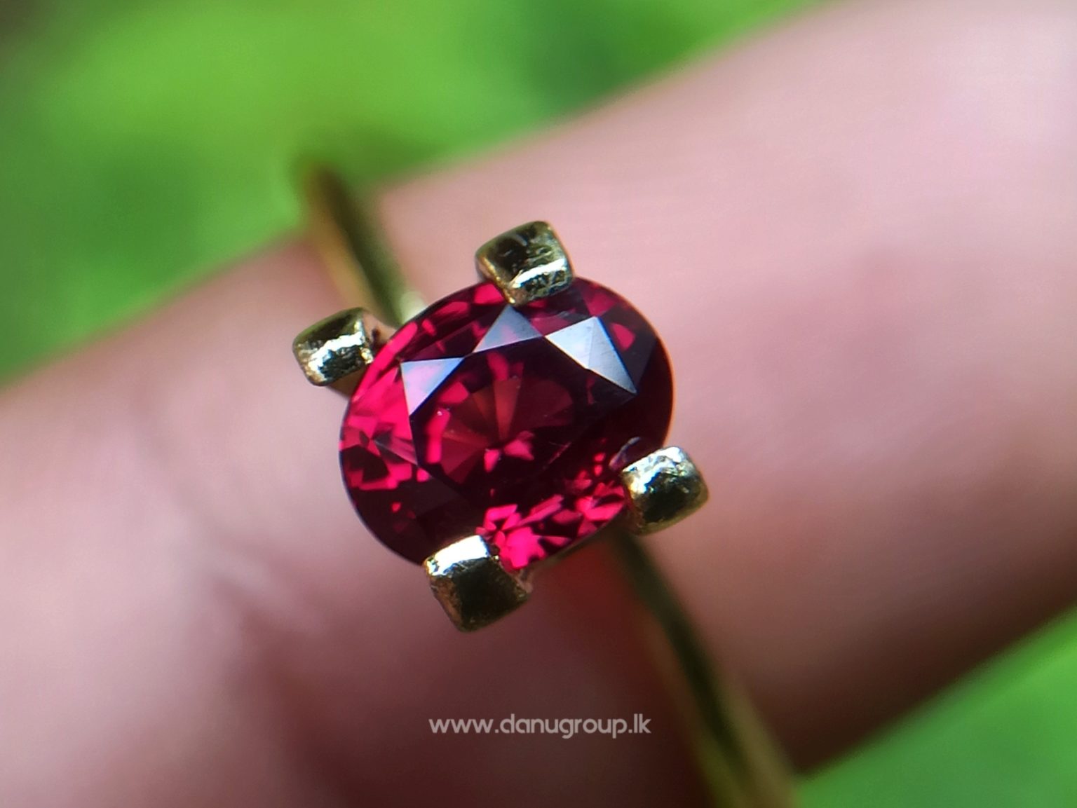 1_Ceylon ruby Royal red ruby from Endana village mining Sri Lanka - Danu Group Gemstones Collections