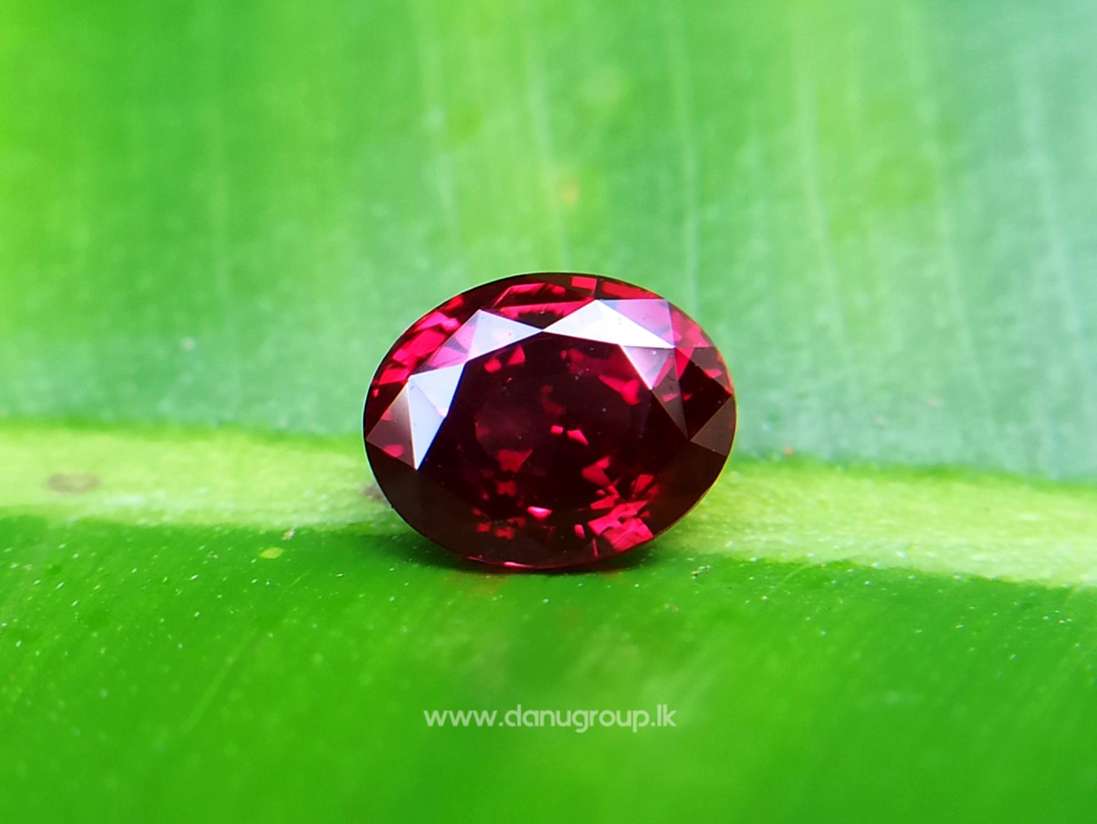 1_Ceylon ruby Royal red ruby from Endana village mining Sri Lanka - Danu Group Gemstones Collections
