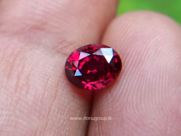 1_Ceylon ruby Royal red ruby from Endana village mining Sri Lanka - Danu Group Gemstones Collections