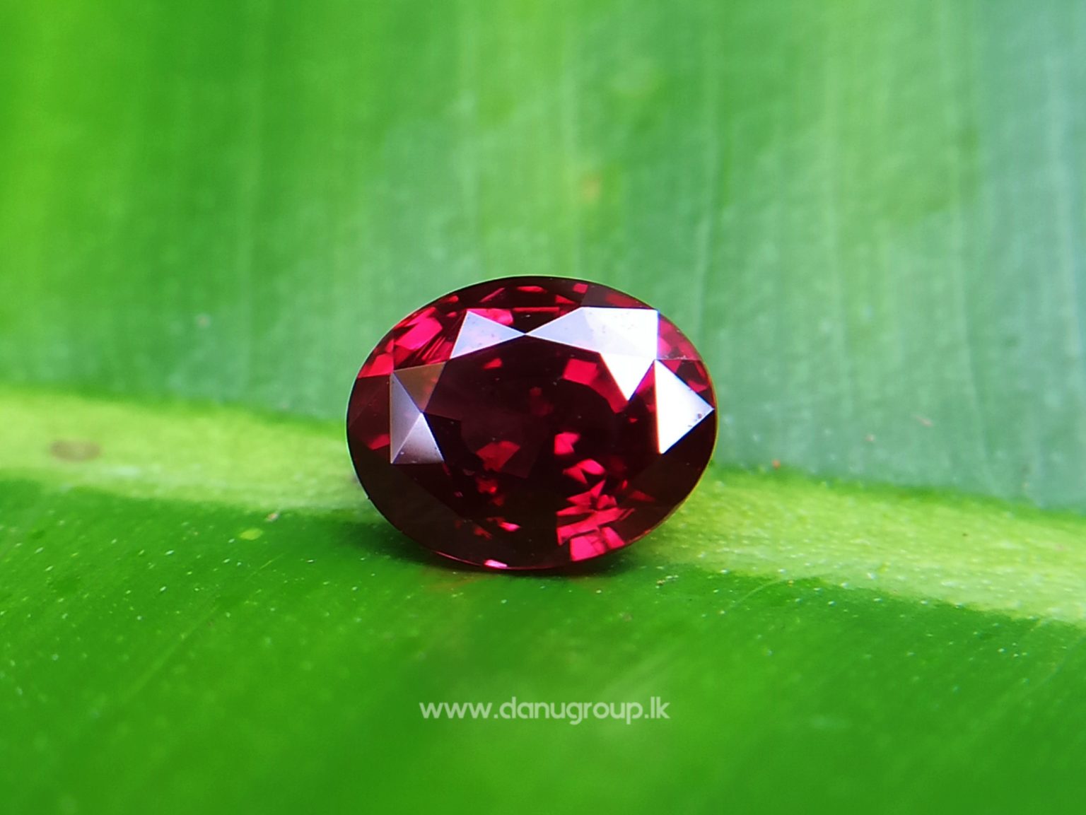 1_Ceylon ruby Royal red ruby from Endana village mining Sri Lanka - Danu Group Gemstones Collections