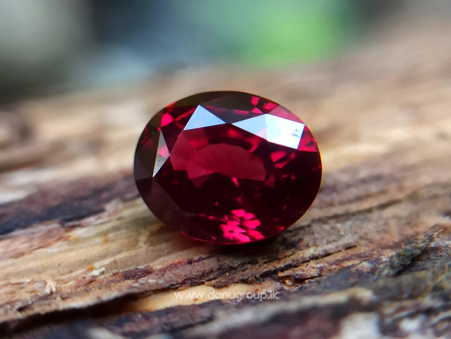 1_Ceylon ruby Royal red ruby from Endana village mining Sri Lanka - Danu Group Gemstones Collections