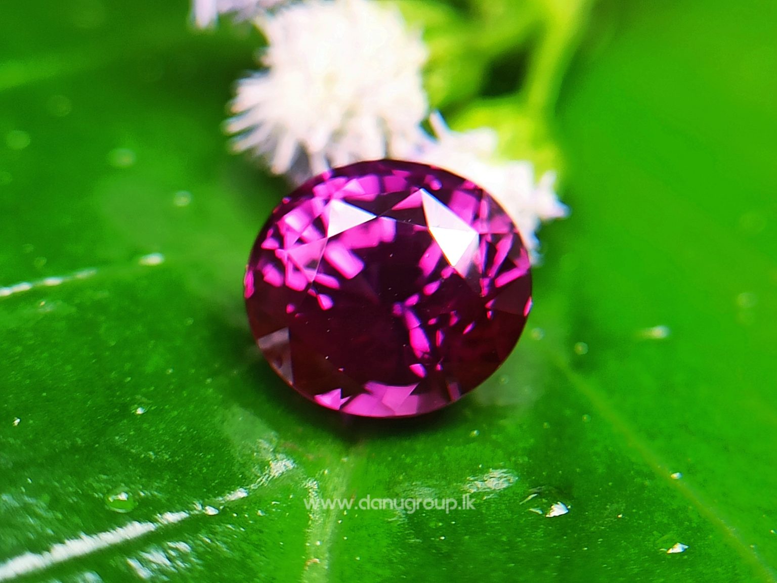 26_Ceylon Natural Purple Sapphire High quality and vibrant pinkish purple color stone from Danu Group