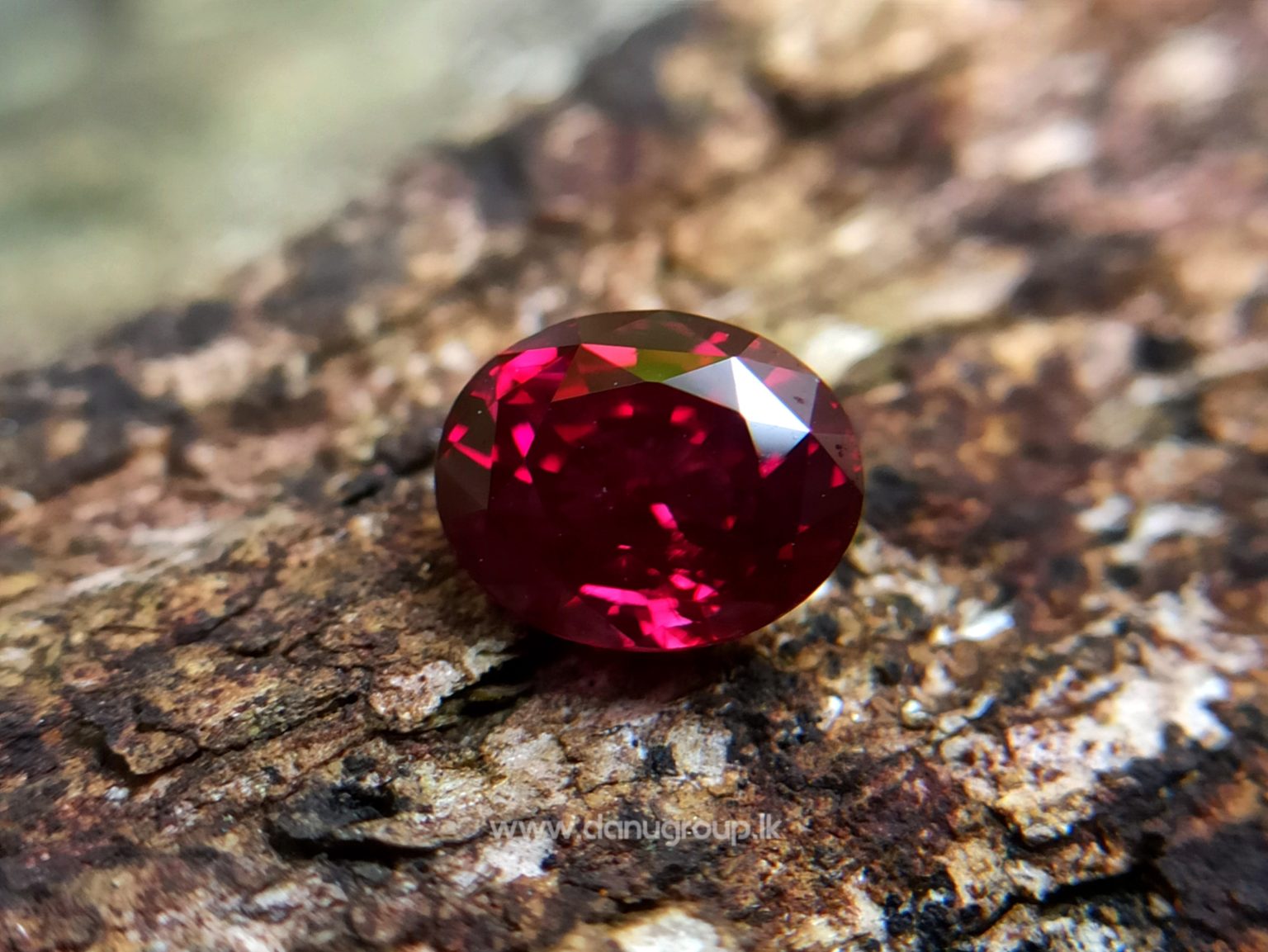 1_Ceylon ruby Royal red ruby from Endana village mining Sri Lanka - Danu Group Gemstones Collections