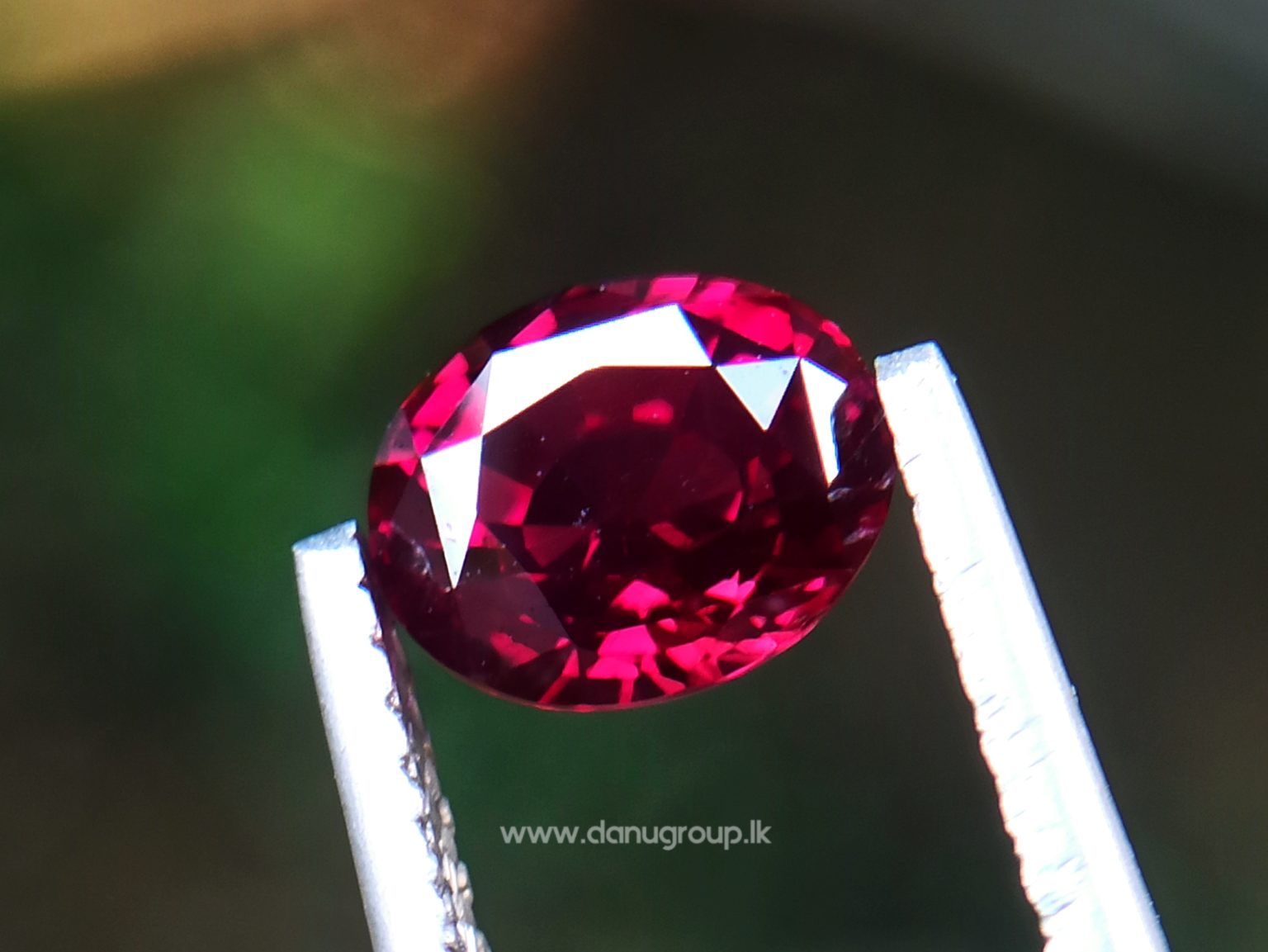 1_Ceylon ruby Royal red ruby from Endana village mining Sri Lanka - Danu Group Gemstones Collections