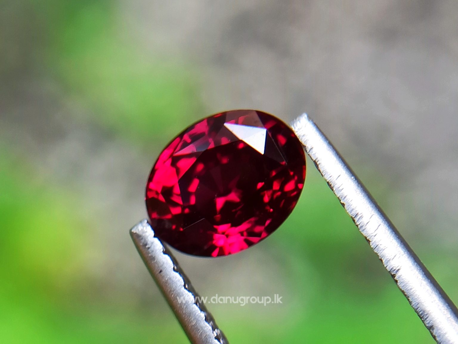 1_Ceylon ruby Royal red ruby from Endana village mining Sri Lanka - Danu Group Gemstones Collections