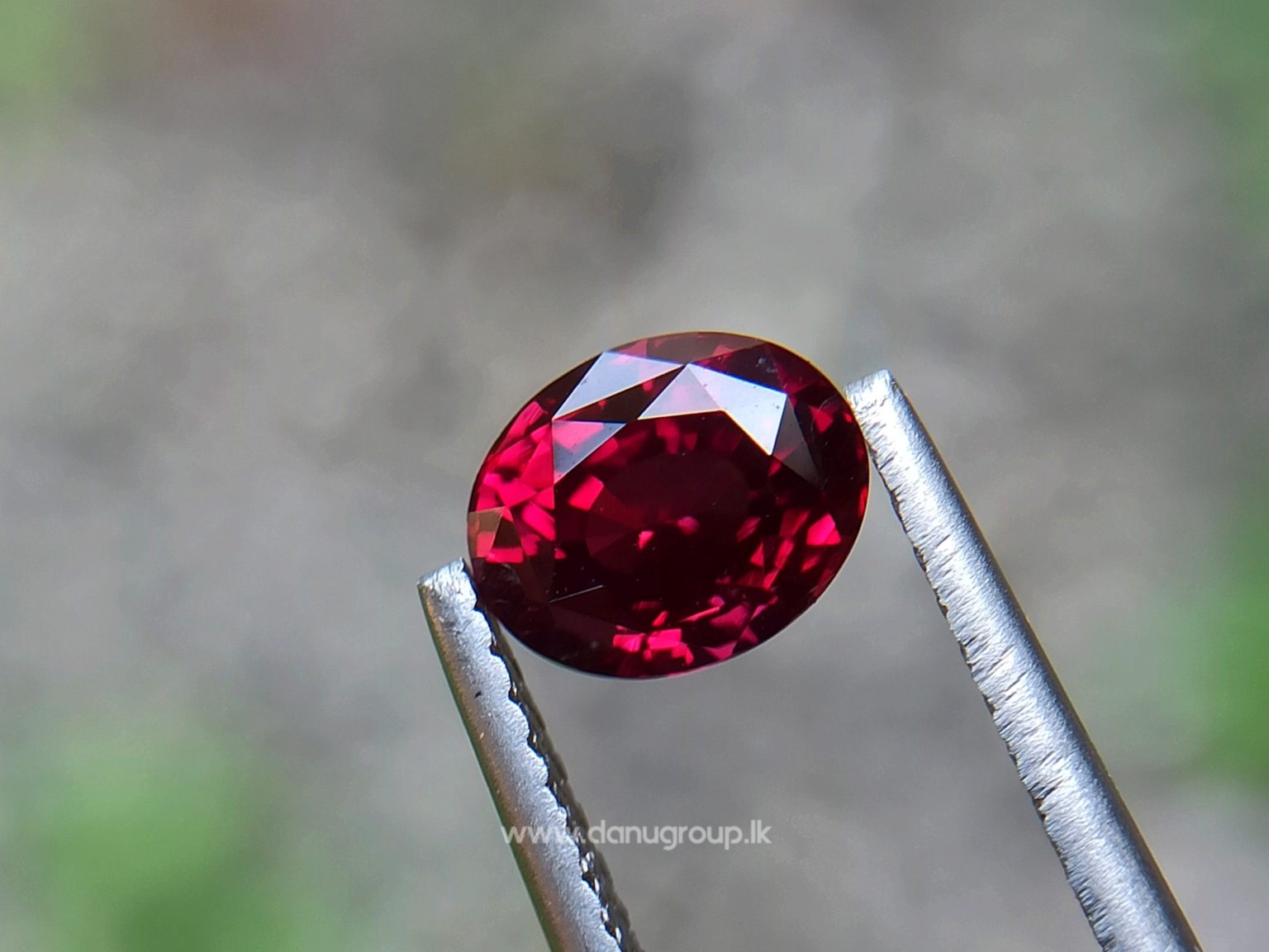 1_Ceylon ruby Royal red ruby from Endana village mining Sri Lanka - Danu Group Gemstones Collections