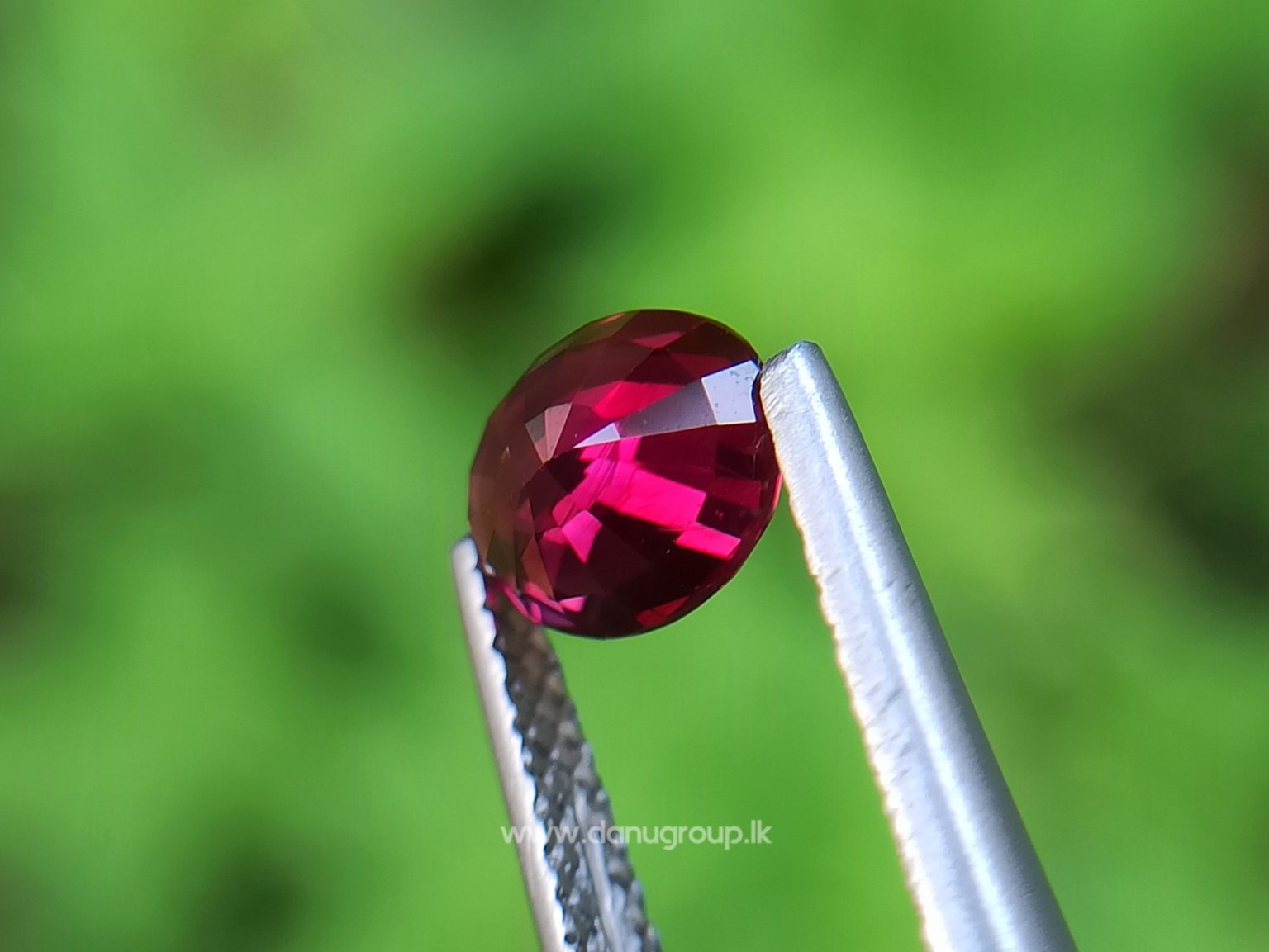 1_Ceylon ruby Royal red ruby from Endana village mining Sri Lanka - Danu Group Gemstones Collections