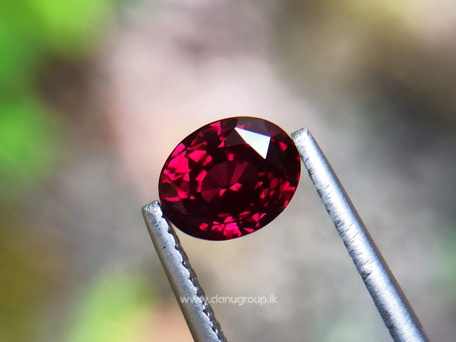 1_Ceylon ruby Royal red ruby from Endana village mining Sri Lanka - Danu Group Gemstones Collections