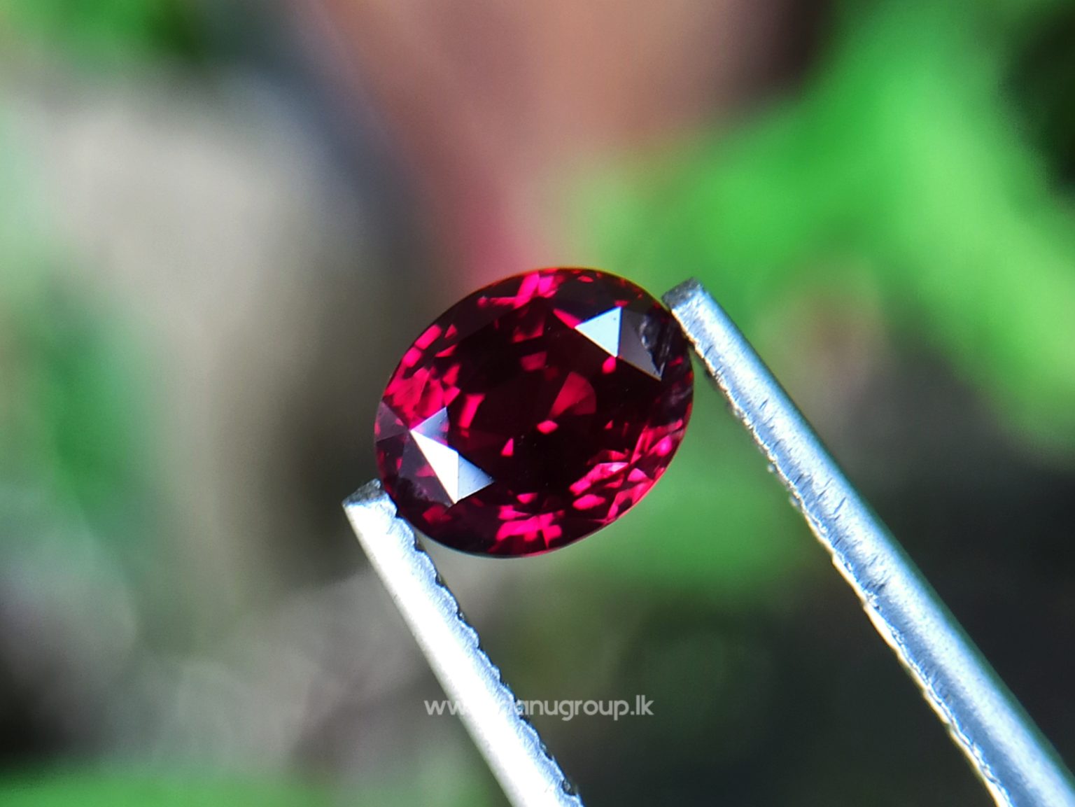 1_Ceylon ruby Royal red ruby from Endana village mining Sri Lanka - Danu Group Gemstones Collections