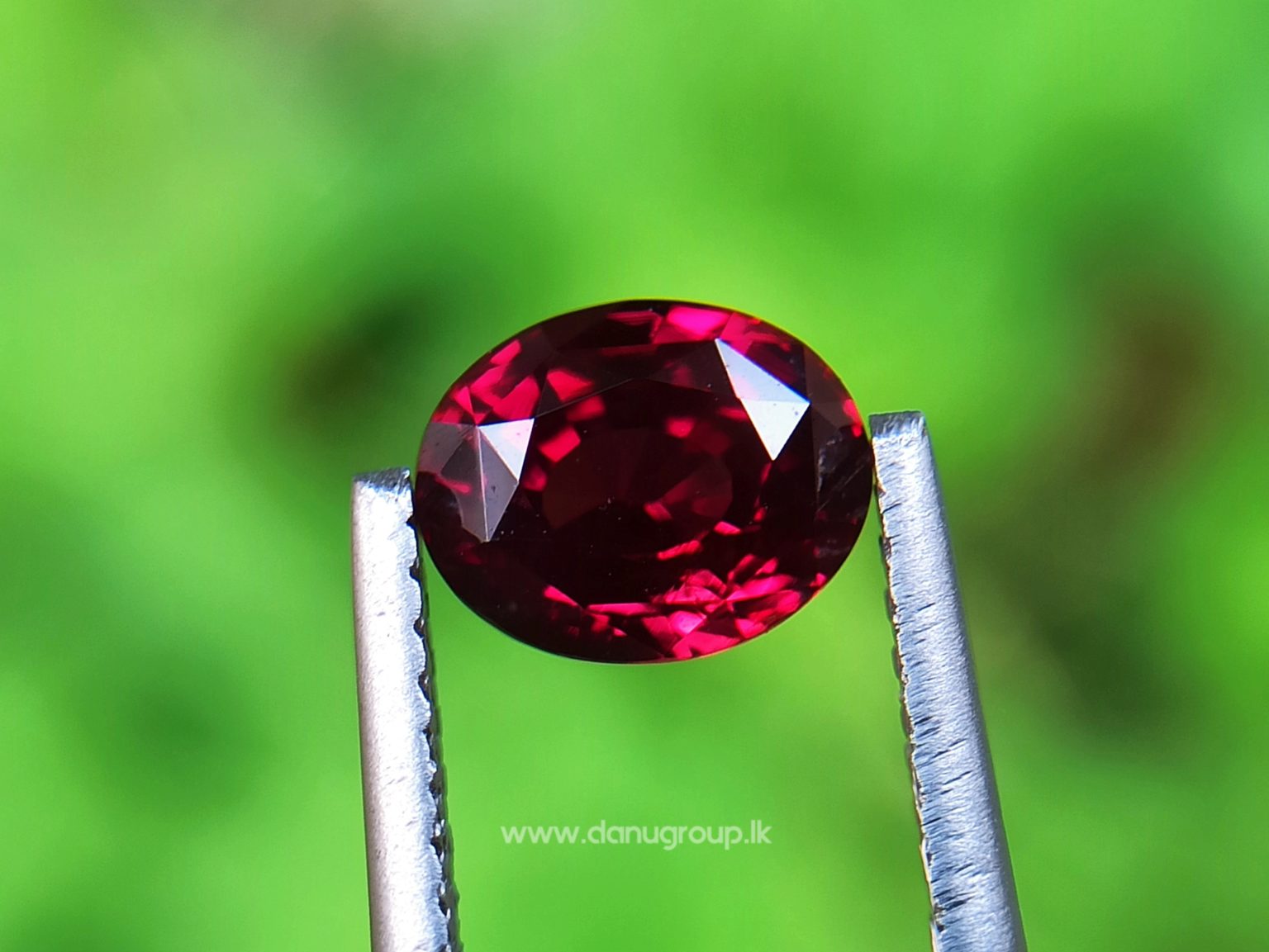 1_Ceylon ruby Royal red ruby from Endana village mining Sri Lanka - Danu Group Gemstones Collections