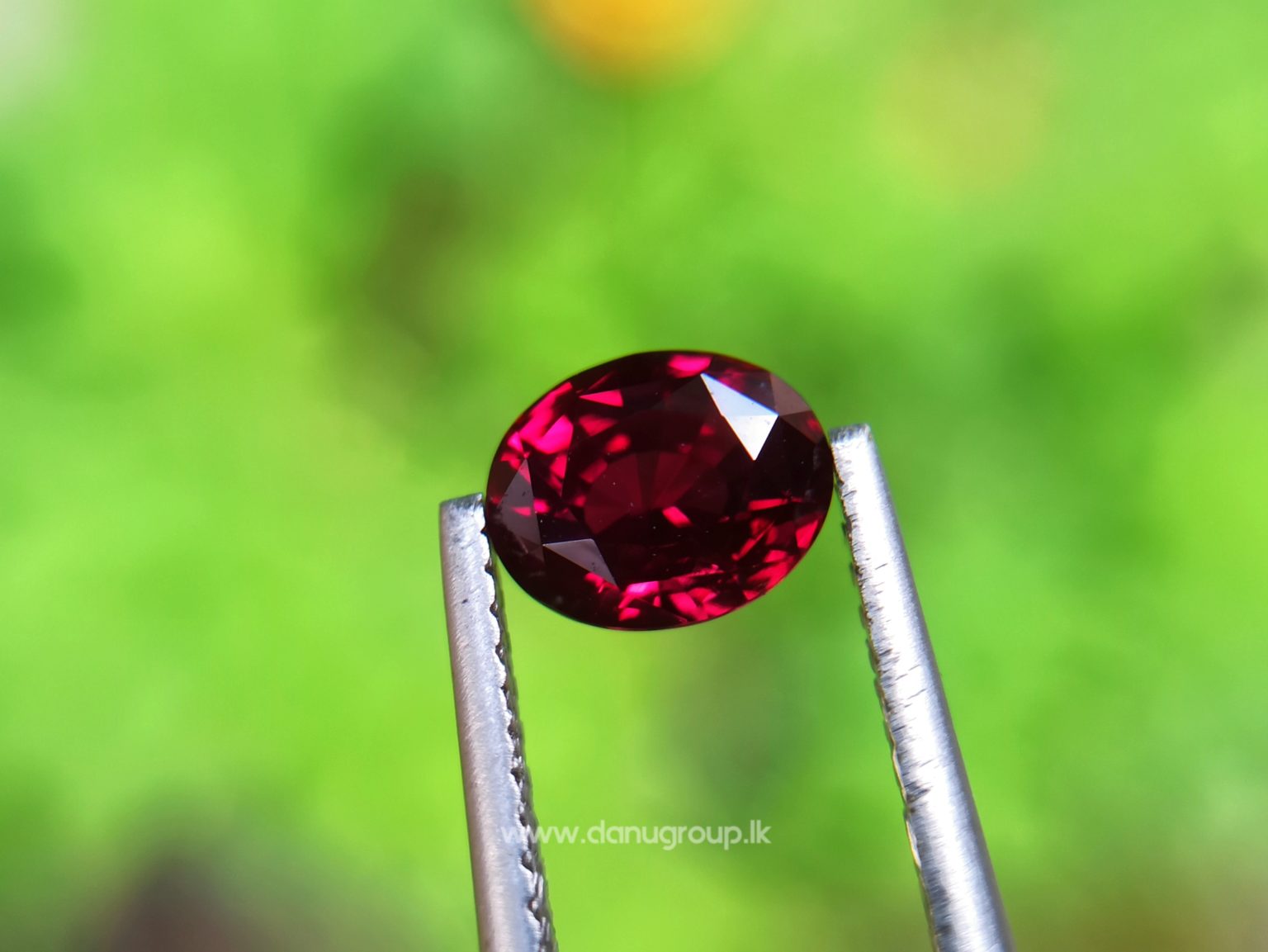 1_Ceylon ruby Royal red ruby from Endana village mining Sri Lanka - Danu Group Gemstones Collections