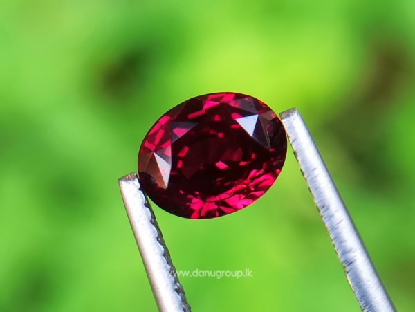1_Ceylon ruby Royal red ruby from Endana village mining Sri Lanka - Danu Group Gemstones Collections