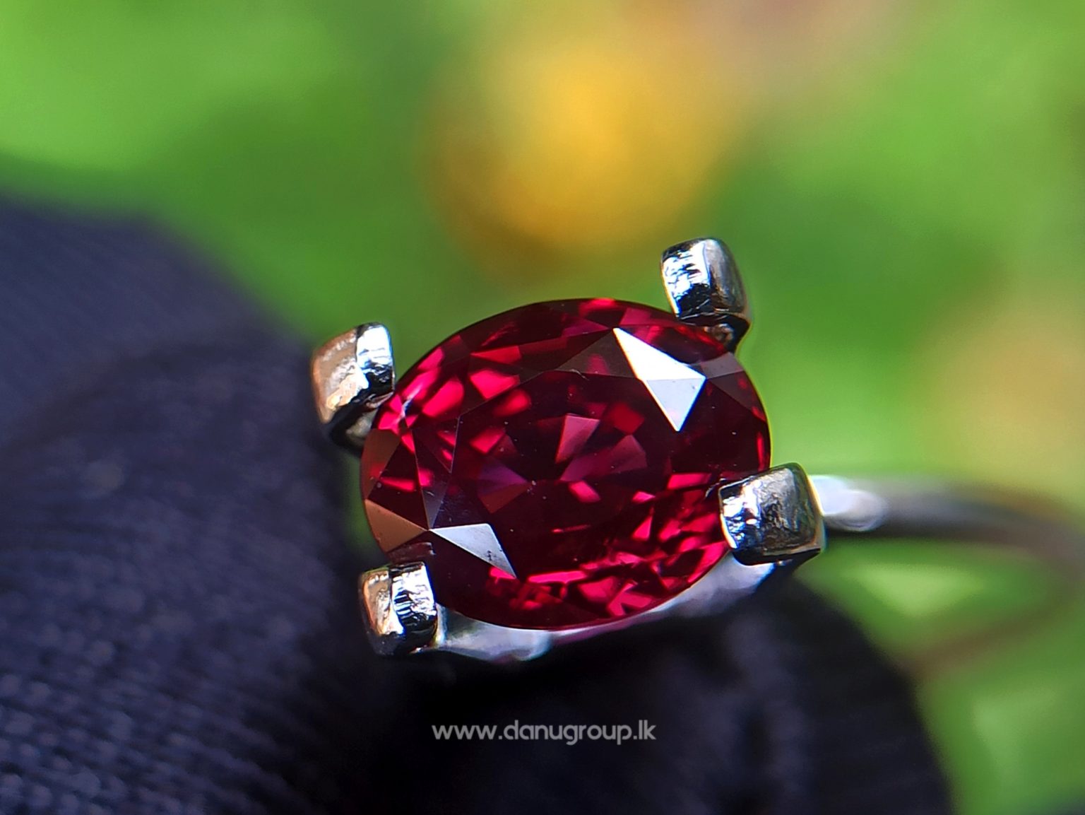 1_Ceylon ruby Royal red ruby from Endana village mining Sri Lanka - Danu Group Gemstones Collections