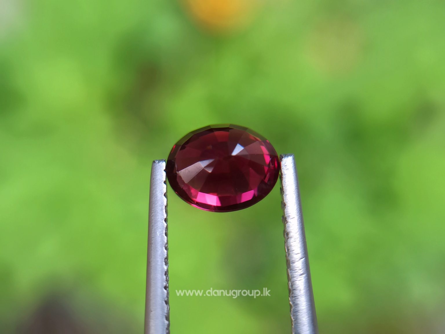 1_Ceylon ruby Royal red ruby from Endana village mining Sri Lanka - Danu Group Gemstones Collections