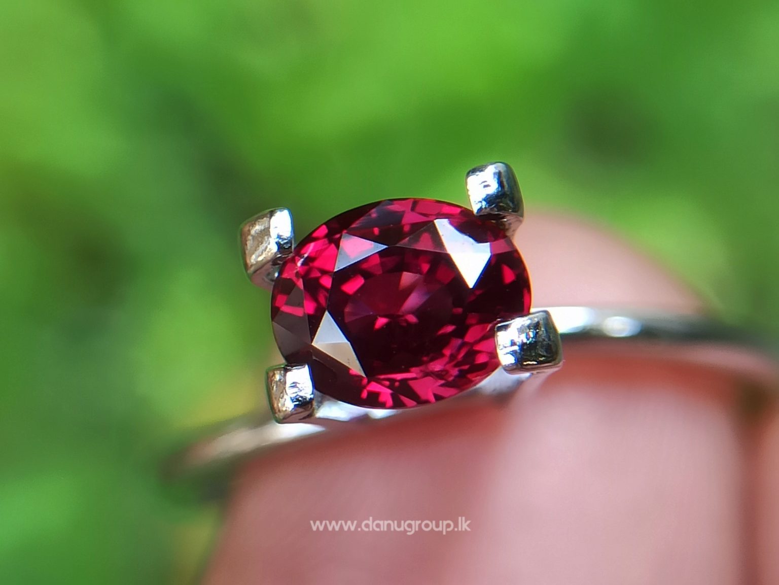 1_Ceylon ruby Royal red ruby from Endana village mining Sri Lanka - Danu Group Gemstones Collections