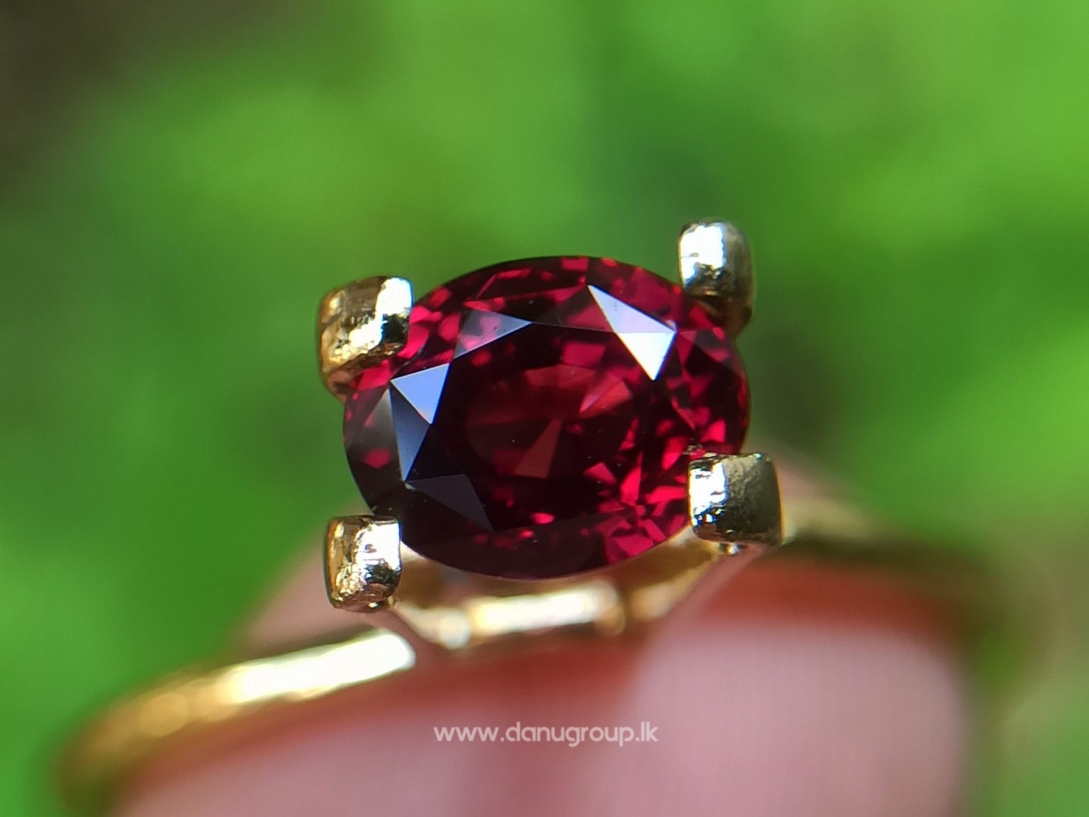 1_Ceylon ruby Royal red ruby from Endana village mining Sri Lanka - Danu Group Gemstones Collections