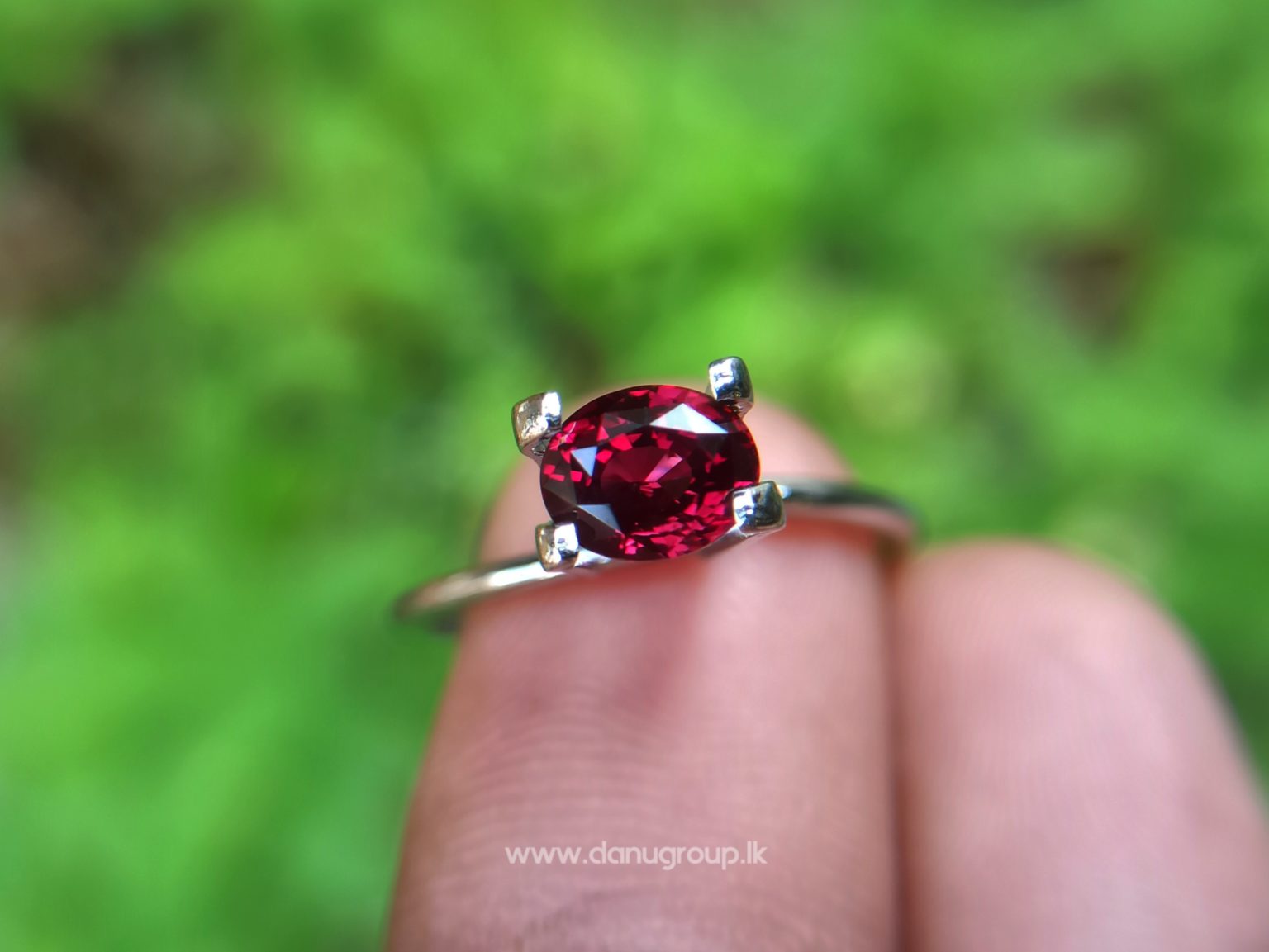 1_Ceylon ruby Royal red ruby from Endana village mining Sri Lanka - Danu Group Gemstones Collections