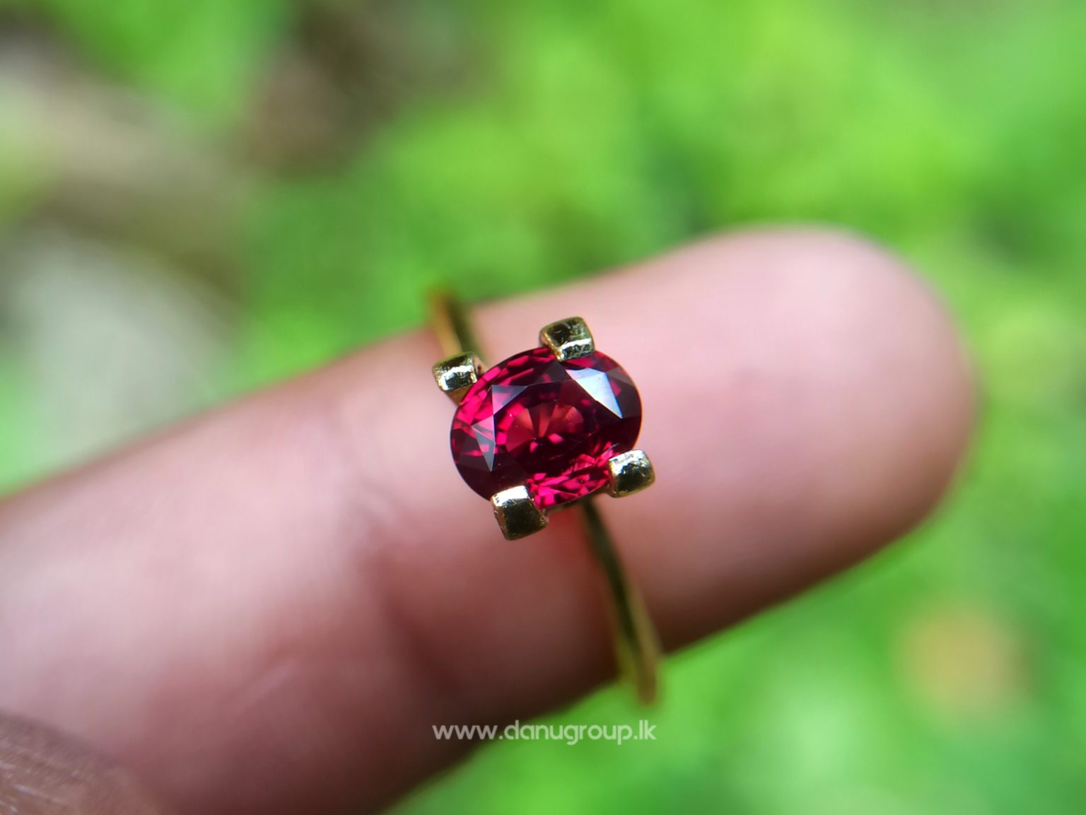 1_Ceylon ruby Royal red ruby from Endana village mining Sri Lanka - Danu Group Gemstones Collections