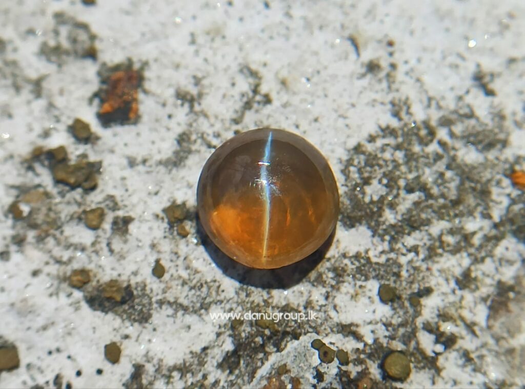 Ceylon Natural Chrysoberyl Honey Color Cats eye - Danu Group
