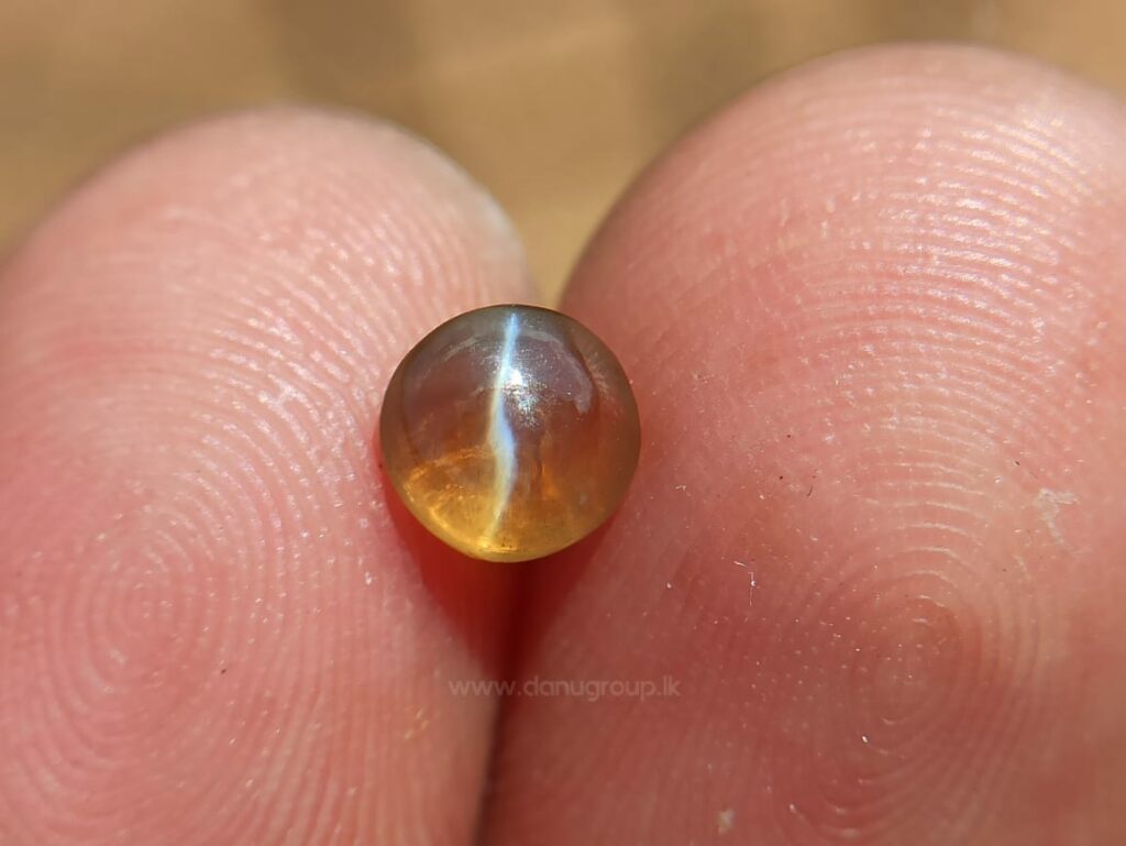 Ceylon Natural Chrysoberyl Honey Color Cats eye - Danu Group