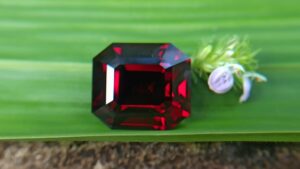 Ceylon Natural Red Garnet