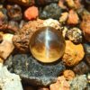 Ceylon Natural Chrysoberyl Honey Color Cats eye