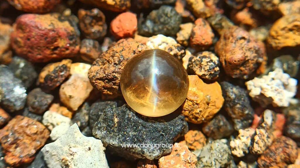 Ceylon Natural Chrysoberyl Honey Color Cats eye