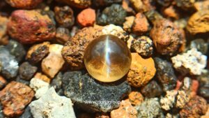 Ceylon Natural Chrysoberyl Honey Color Cats eye