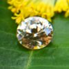 Ceylon Natural Yellow Zircon